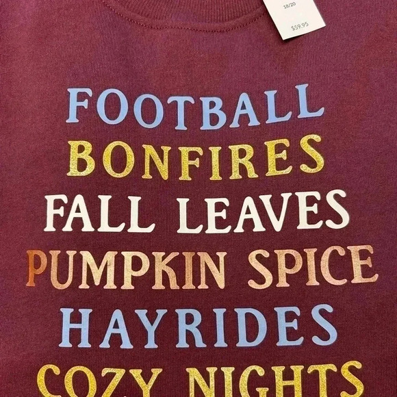 Lane Bryant Classic Long-Sleeve Crew-Neck Fall Graphic Sweatshirt Size 2X NWT - Picture 4 of 6